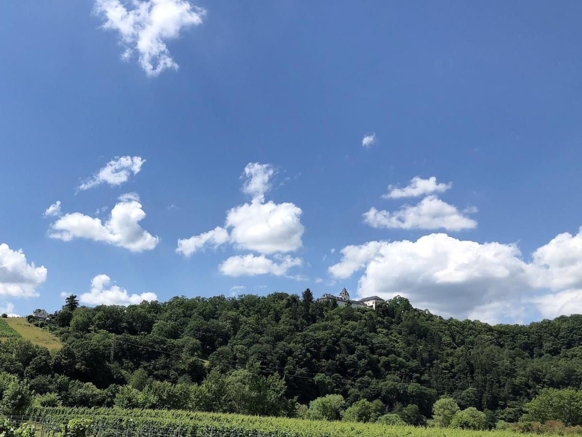 Ferienhaus Moselpromenade Zell an der Mosel Esterno foto